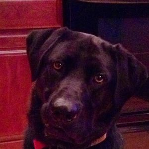 Meet your Posher, Nathan